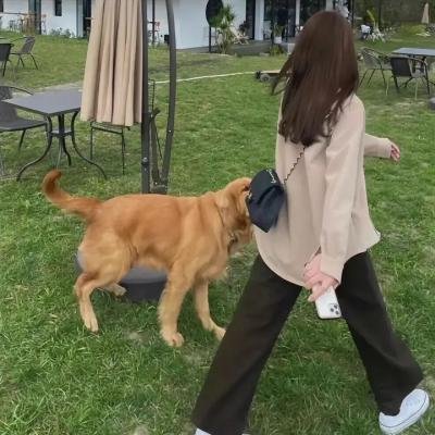 来福,来福 海报